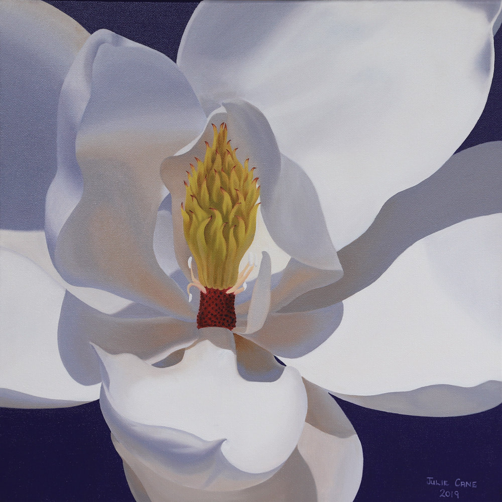 Magnolia Floral painting by Julie Cane artist