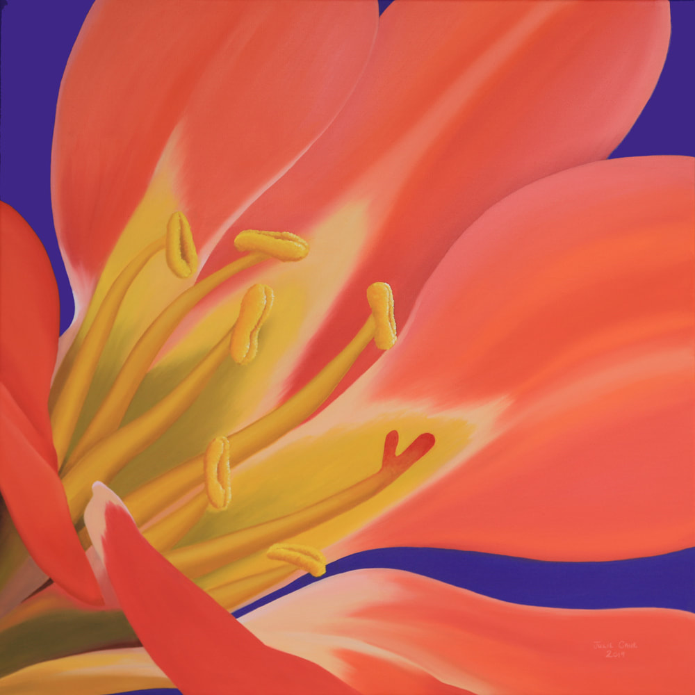 Clivia Floral painting by Julie Cane artist