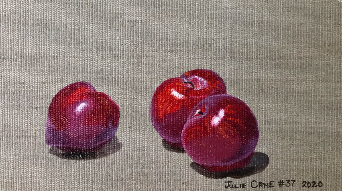 Oil Painting still life by Julie Cane of red plums
