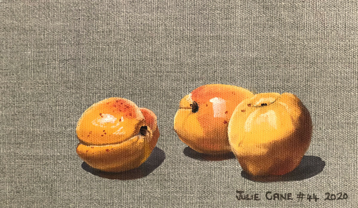 Oil Painting still life by Julie Cane of Apricots