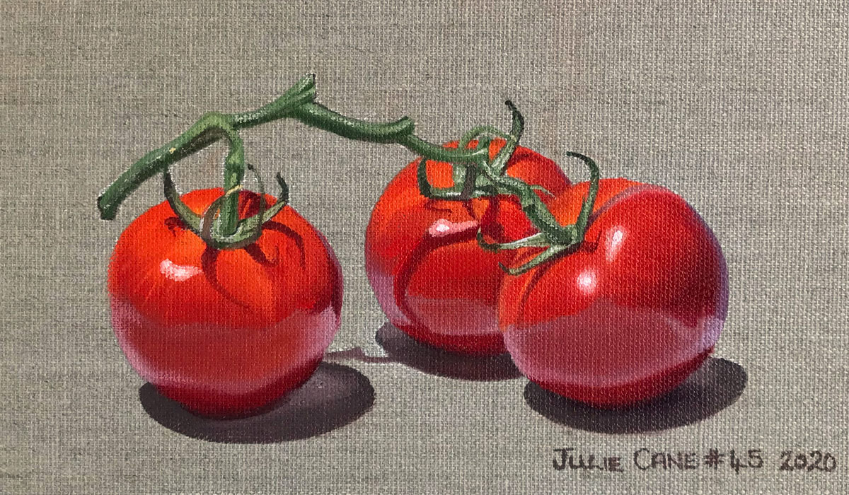 Oil Painting still life by Julie Cane of tomatoes on the vine