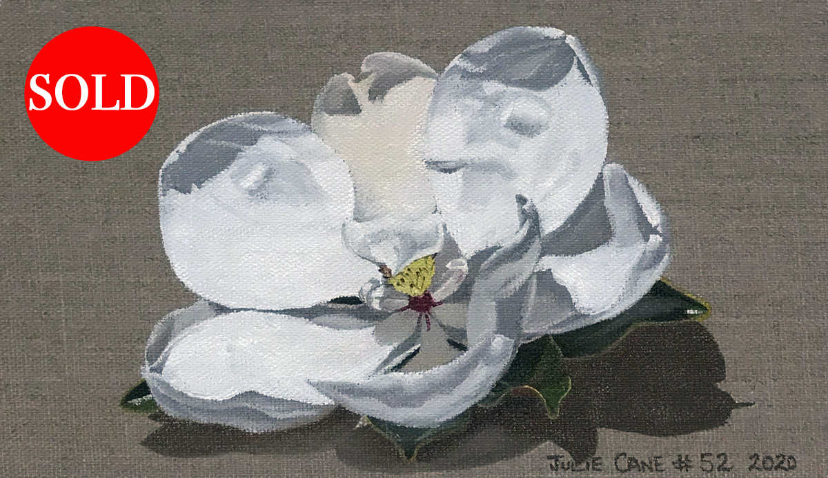 Oil Painting still life by Julie Cane of magnolia flower