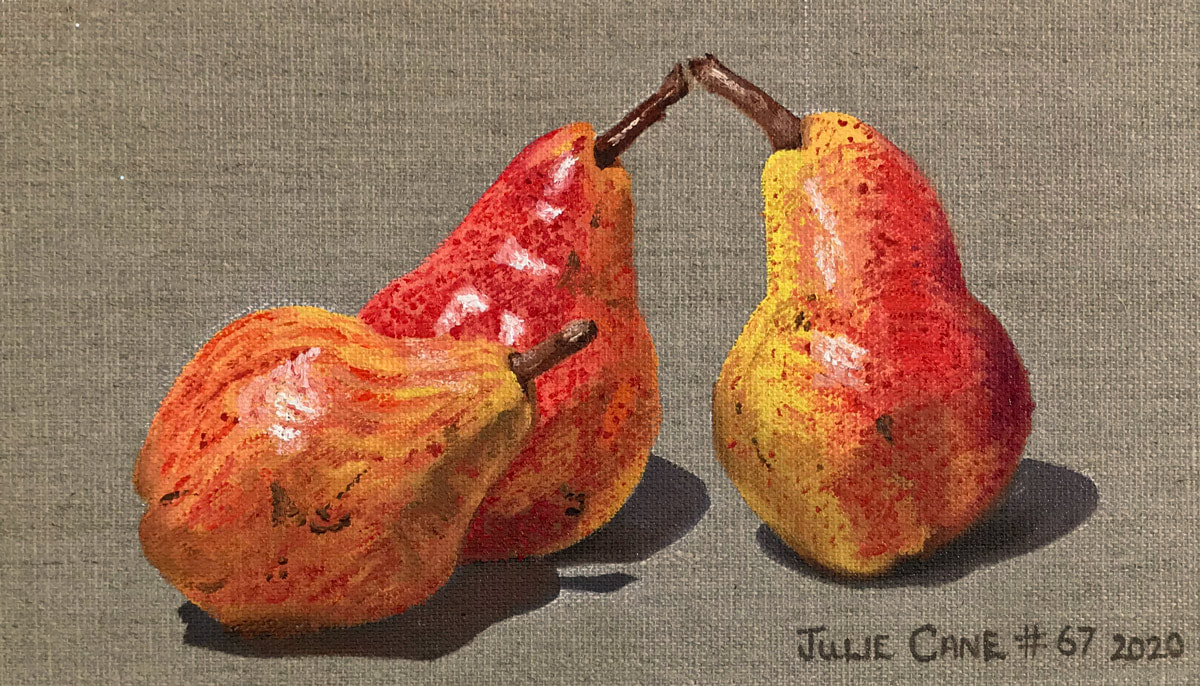 Oil Painting still life by Julie Cane of red sensation pears