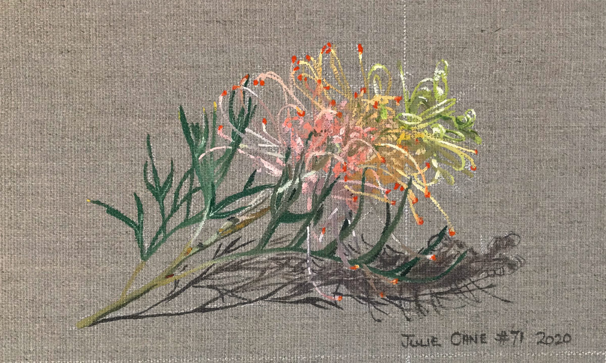 Oil Painting still life by Julie Cane of grevillea bloom 