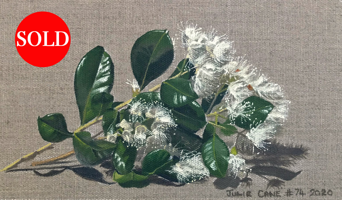 Oil Painting still life by Julie Cane of Lilly Pilly Flowers
