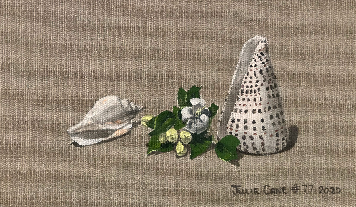 Oil Painting still life by Julie Cane of Mock Orange flower and shells