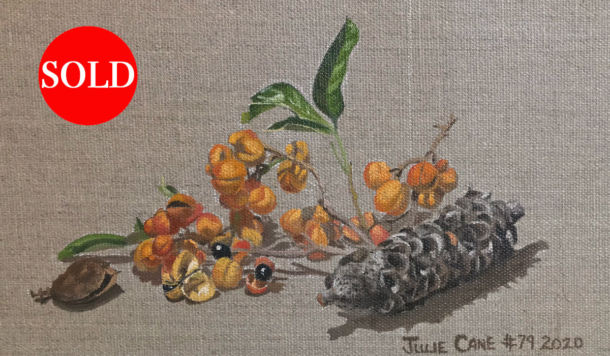 Oil Painting still life by Julie Cane of seed pods