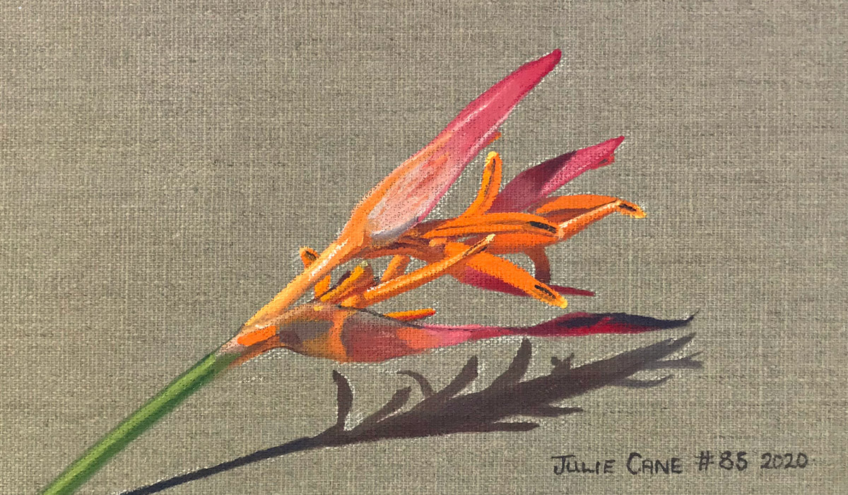 Oil Painting still life by Julie Cane of Heliconia flower