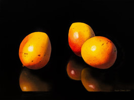 Painting of three Mangoes Julie Cane