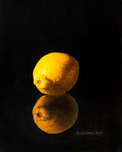 Still life Painting of a Lemon Julie Cane