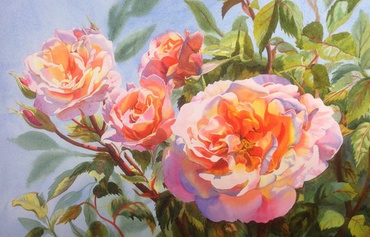 Sunlit Roses Watercolour Painting Julie Cane