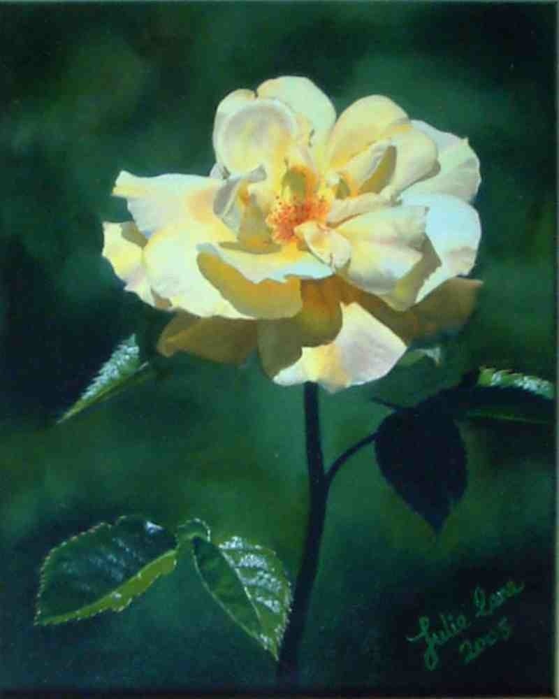Golden Rose 2 Oil Painting Julie Cane