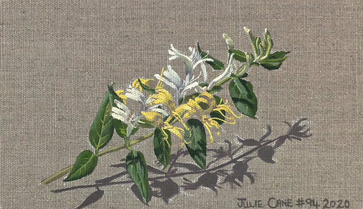 Oil Painting still life by Julie Cane of Japanese Honesuckle