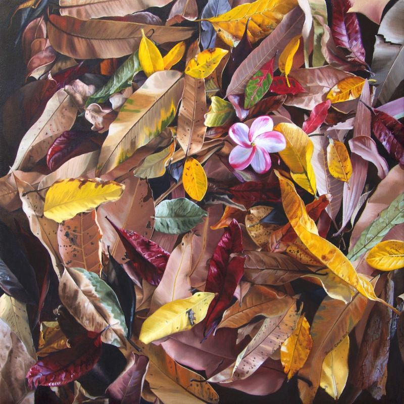 The Flower oil painting by Julie Cane Australian Artist