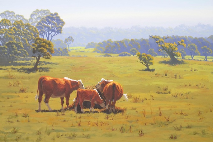 Hereford Cattle, Rural Landscape, Oil Painting, Australian artist, Julie Cane